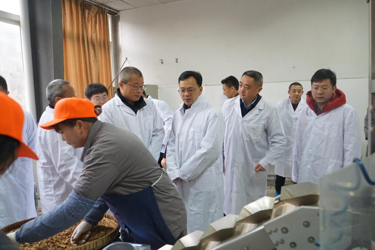 省“三個一批”重點(diǎn)建設(shè)項目現(xiàn)場核查組指導(dǎo)天植中藥工作