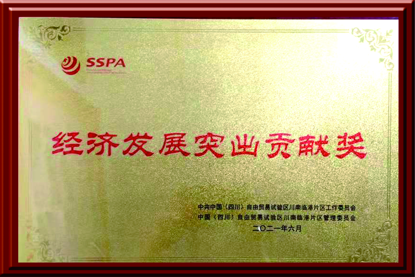 經濟發(fā)展突出貢獻獎