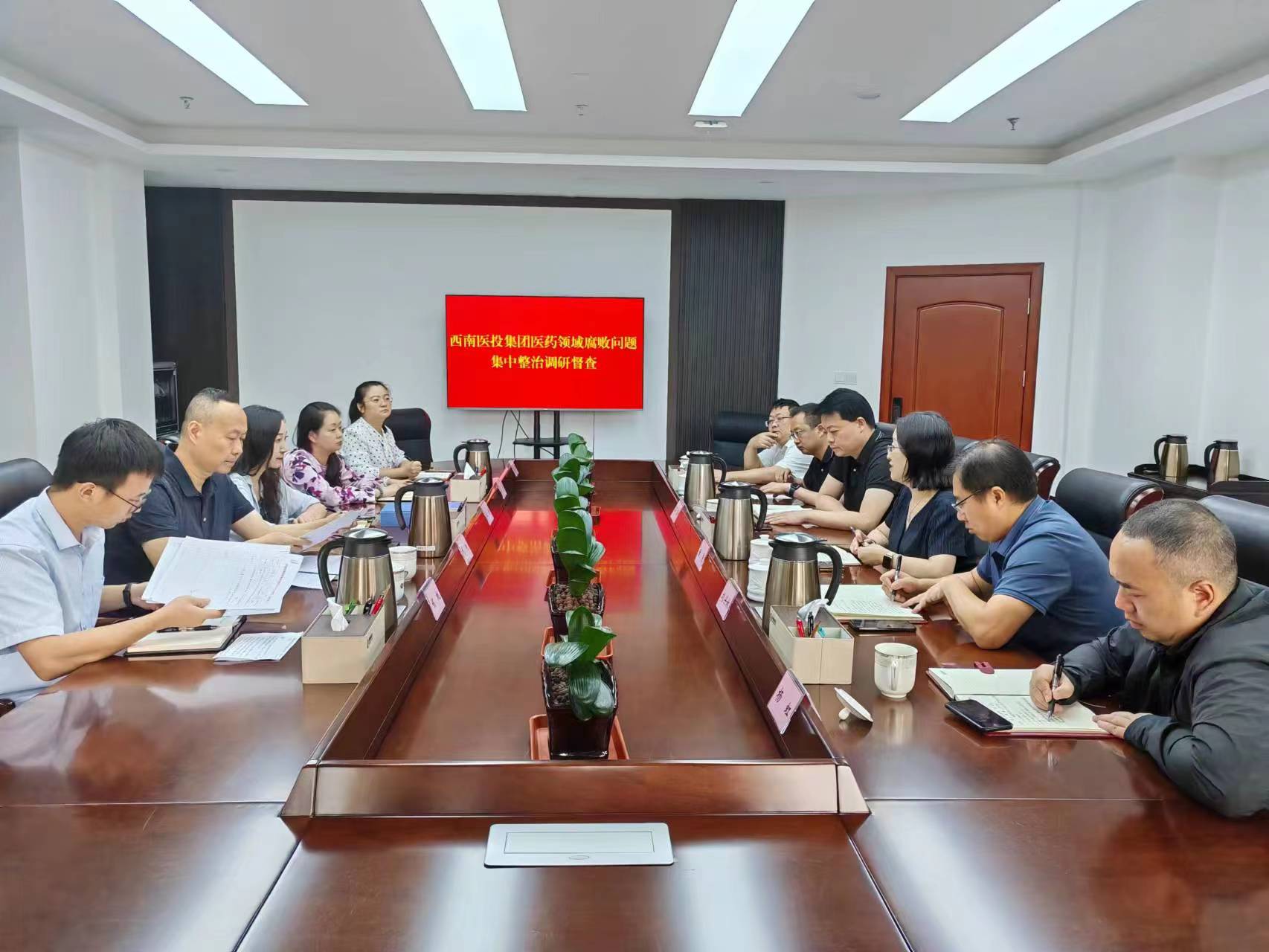 市紀(jì)委監(jiān)委駐市國(guó)資委紀(jì)檢監(jiān)察組赴西南醫(yī)投集團(tuán)開(kāi)展醫(yī)藥領(lǐng)域腐敗問(wèn)題集中整治調(diào)研督查